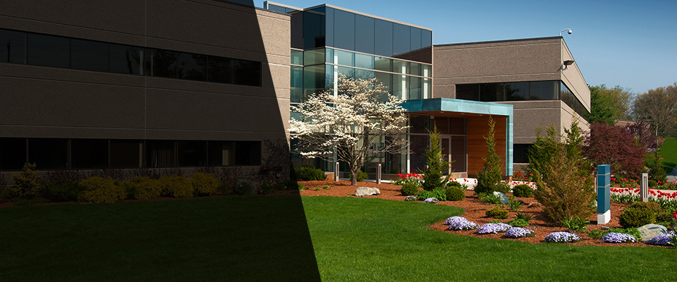 Montgomeryville Landscapers