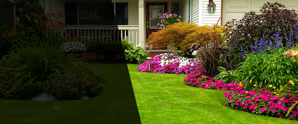 Montgomeryville Landscapers