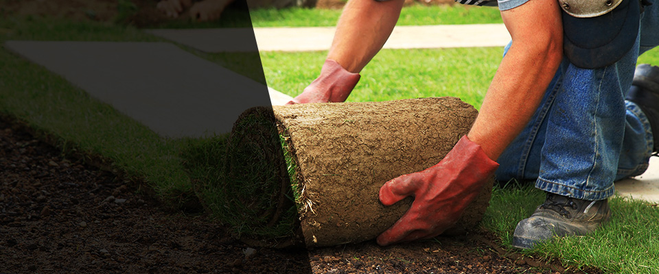 Montgomeryville Landscapers